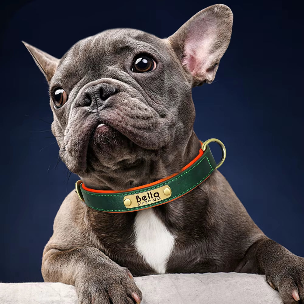 Coleira Personalizada em Pele PU para Cães – Com Placa Gravada Gratuita / Personalized PU Leather Dog Collar – Free Engraved Nameplate